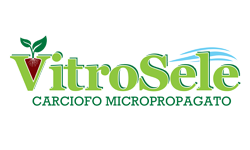 Vitrosele