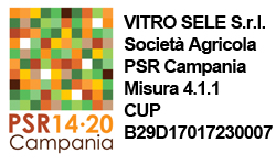 PSR Campania